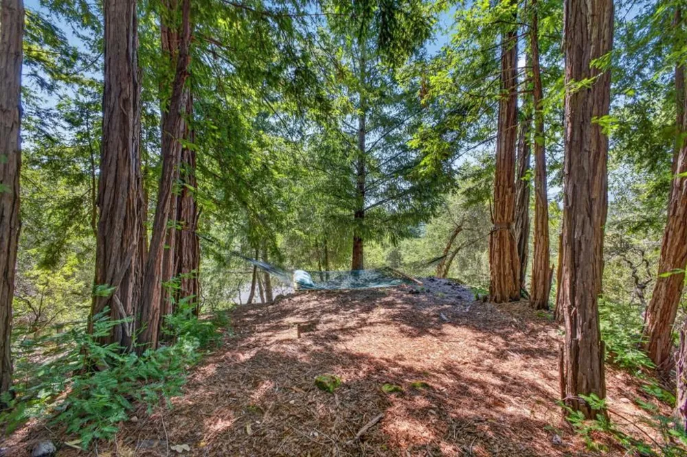 780 Elsie Mae Drive Boulder Creek, CA 95006