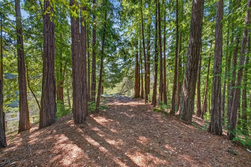780 Elsie Mae Drive Boulder Creek, CA 95006