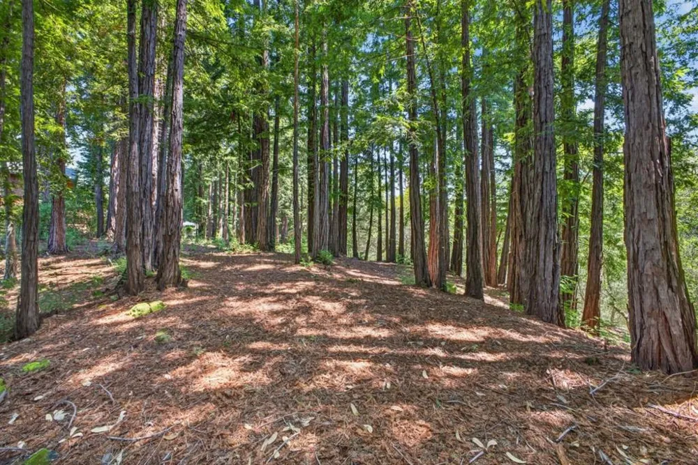 780 Elsie Mae Drive Boulder Creek, CA 95006