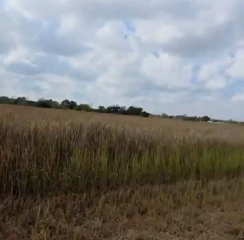 METHENY RD, PARCEL B Wauchula, FL 33873