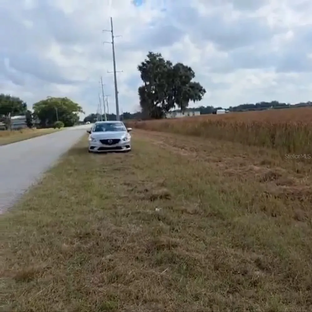METHENY RD, PARCEL B Wauchula, FL 33873
