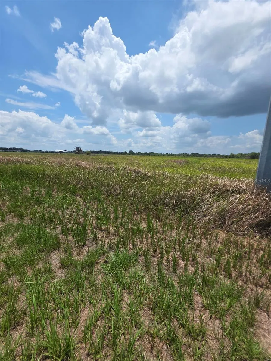 METHENY RD, PARCEL B Wauchula, FL 33873