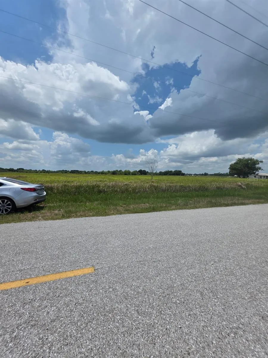 METHENY RD, PARCEL B Wauchula, FL 33873