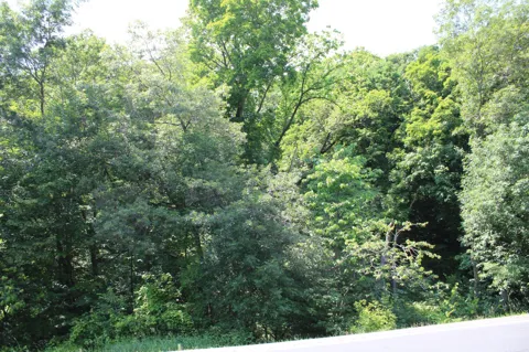 000 St Croix Trail