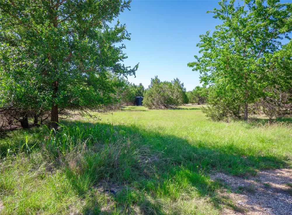 411 Avila Lane Briggs, TX 78608