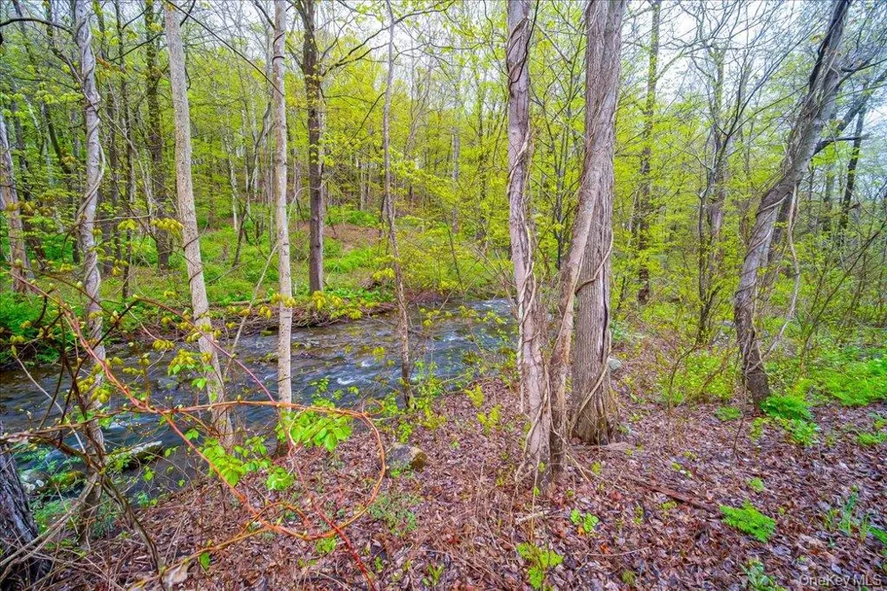 287 Hunns Lake Road Stanfordville, NY 12581