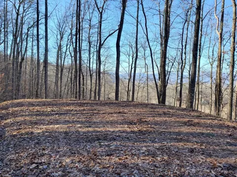 WILLA RD