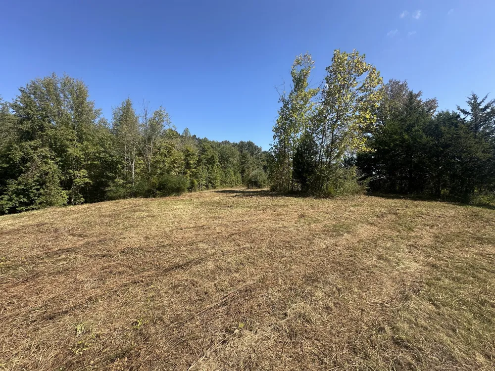 1885 Griffintown Rd Sparta, TN 38583