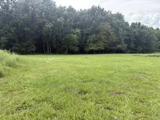 4884 Rock House Rd Portland, TN 37148