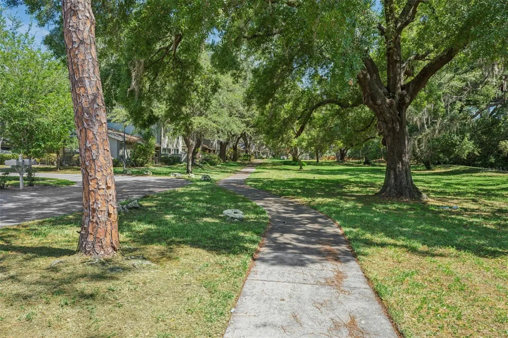 6341 TREETOP CIRCLE #6341 Temple Terrace, FL 33617