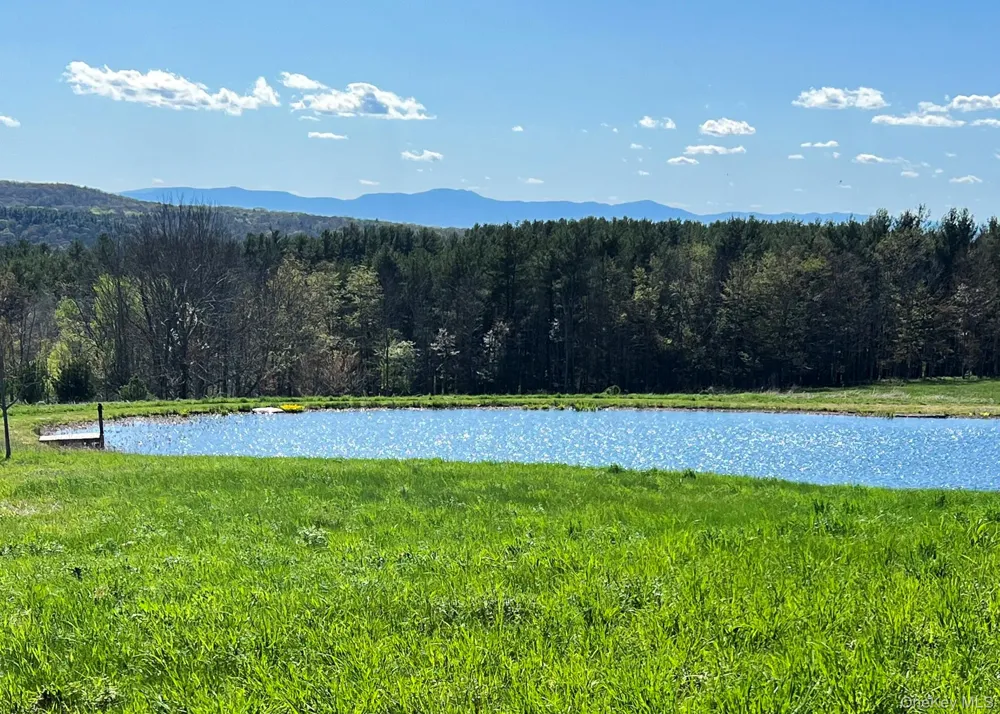53 May Lane Chatham, NY 12165