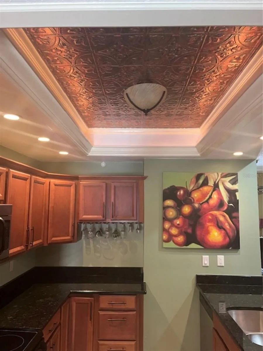 3047 OVERLOOK PLACE Clearwater, FL 33760