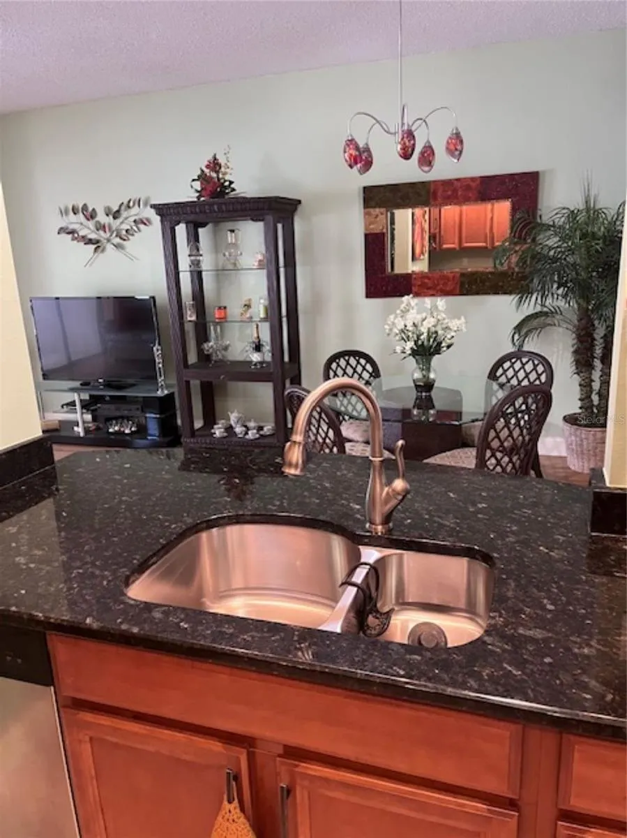 3047 OVERLOOK PLACE Clearwater, FL 33760