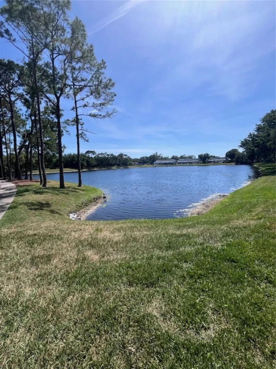 3047 OVERLOOK PLACE Clearwater, FL 33760