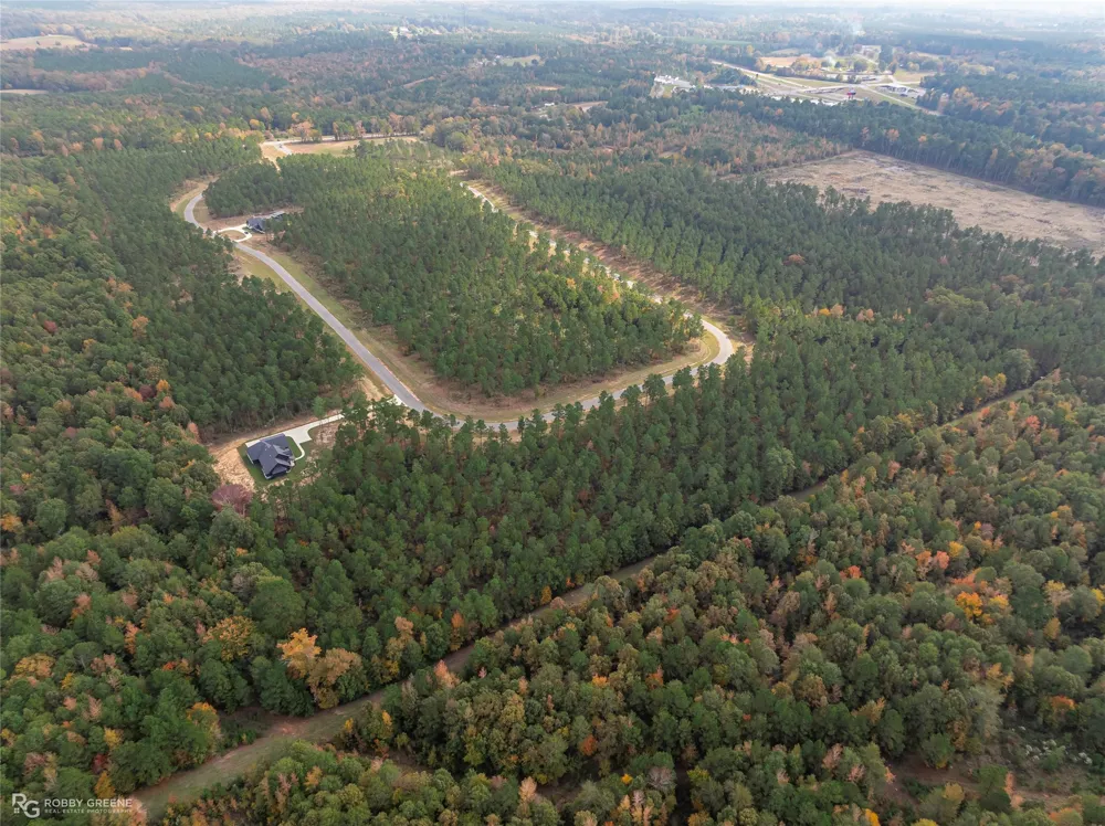 217 Millwood Loop #9 Minden, LA 71055