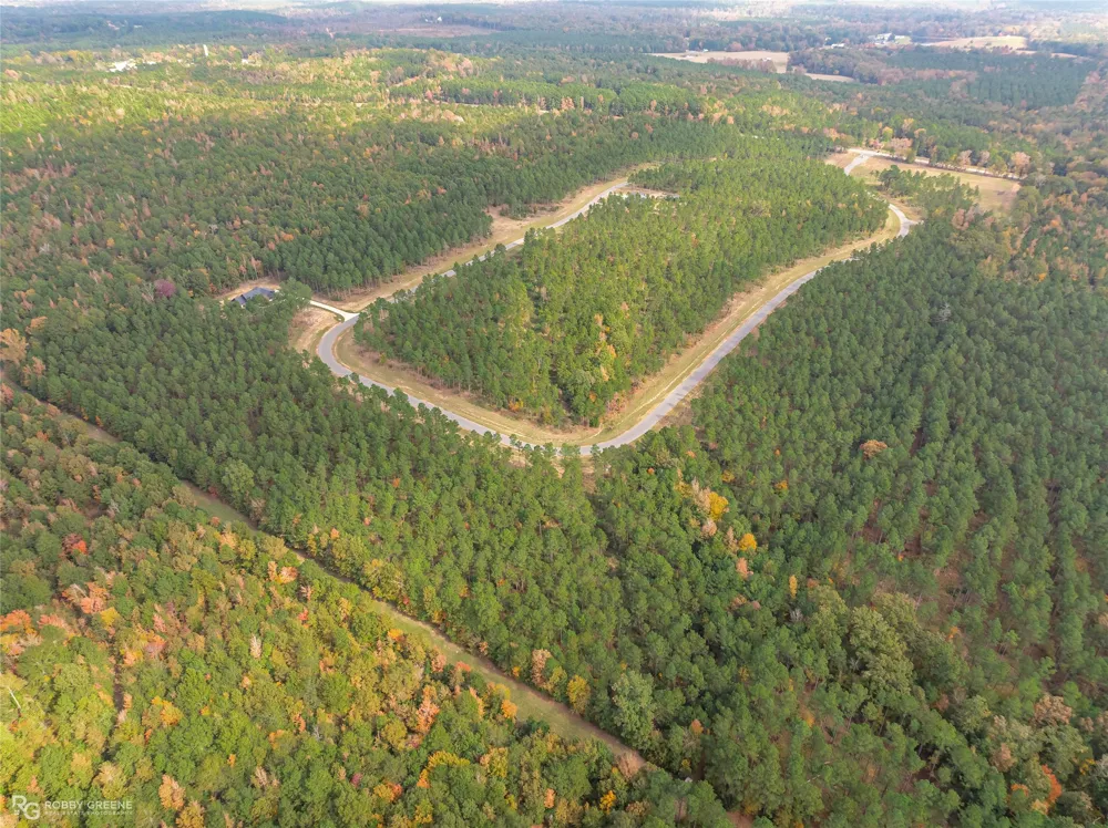 215 Millwood Loop #8 Minden, LA 71055