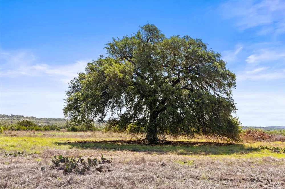 6590 US 290 Dripping Springs, TX 78620