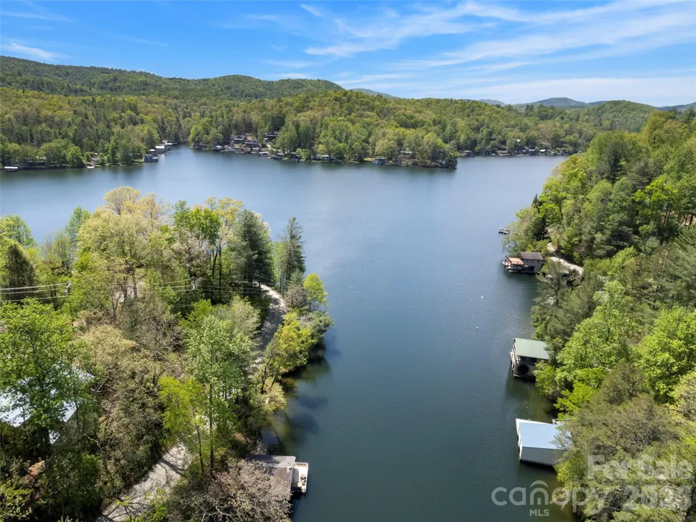 99999 N Lake Summit Road Zirconia, NC 28790