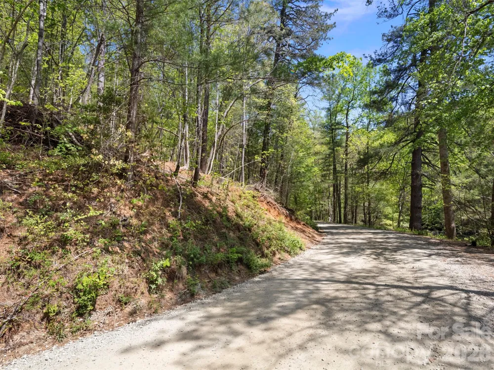 99999 N Lake Summit Road Zirconia, NC 28790