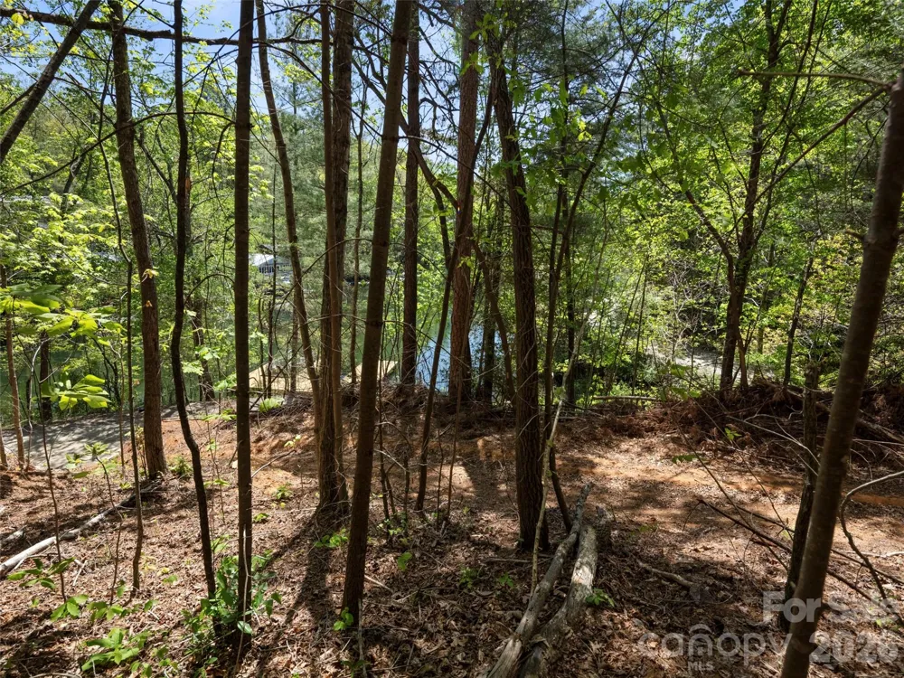 99999 N Lake Summit Road Zirconia, NC 28790