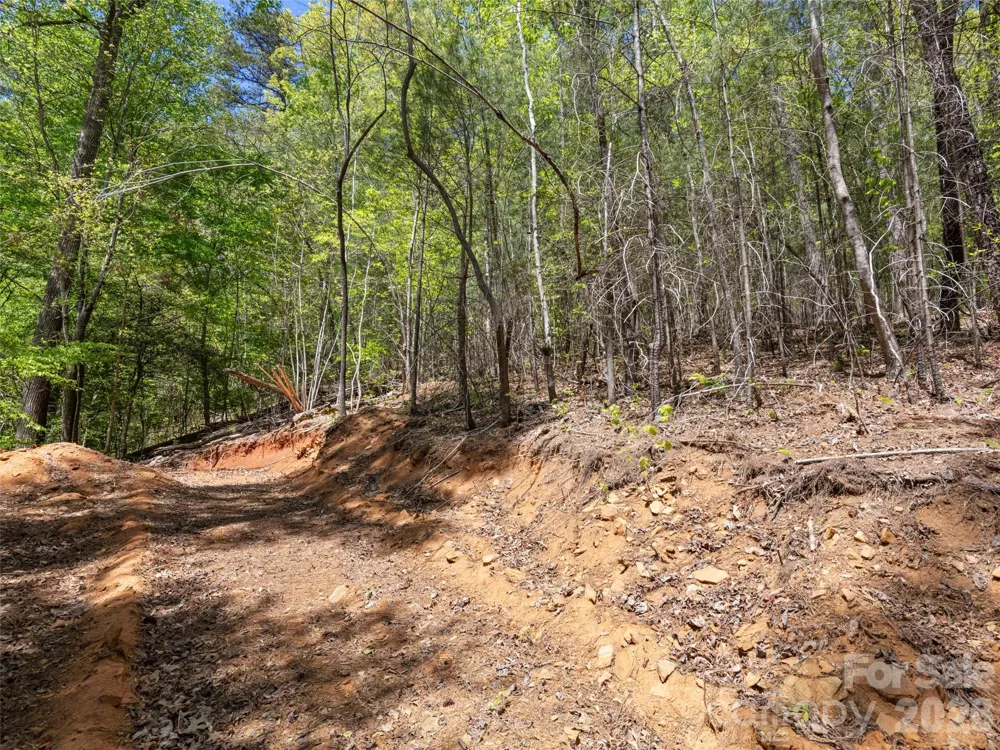 99999 N Lake Summit Road Zirconia, NC 28790