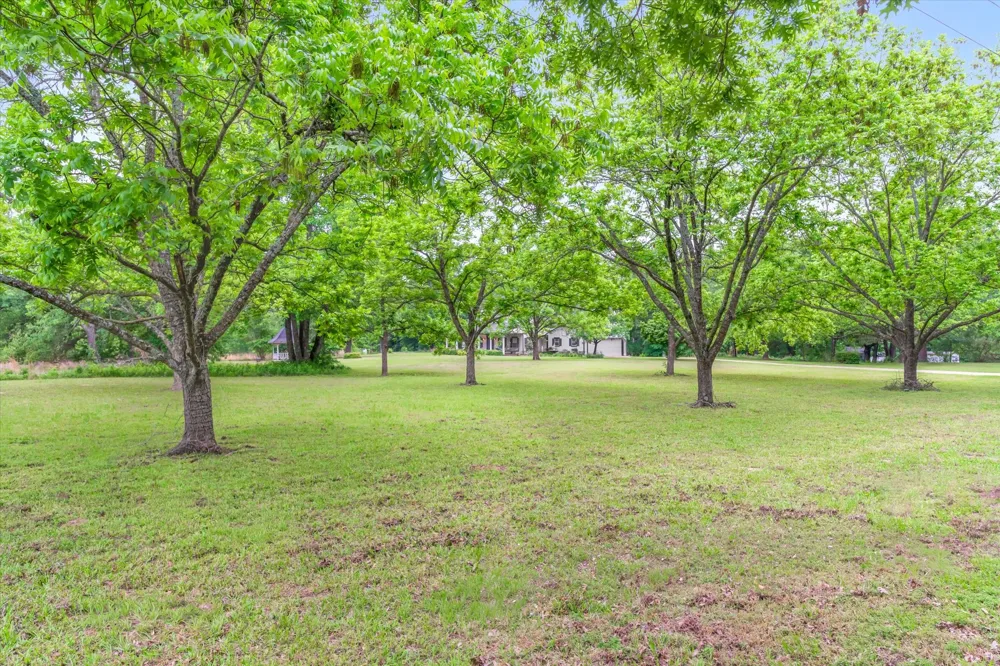 1434 Vz County Road 4519 Van, TX 75790
