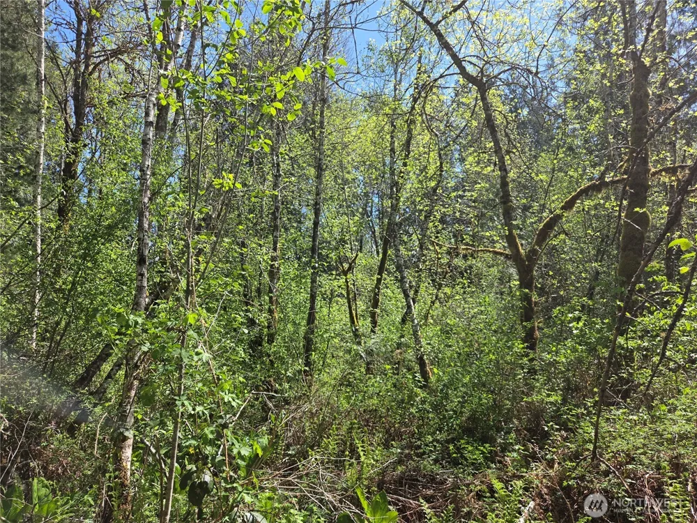 0 Falls Road Randle, WA 98377