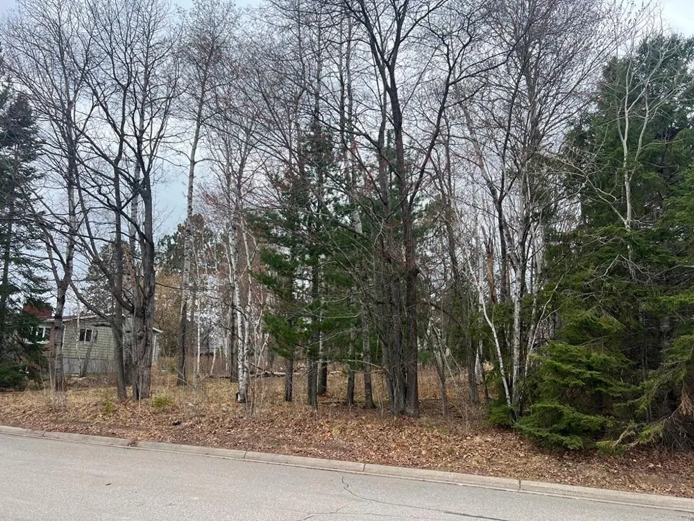 TBD 3rd Avenue SW Grand Rapids, MN 55744