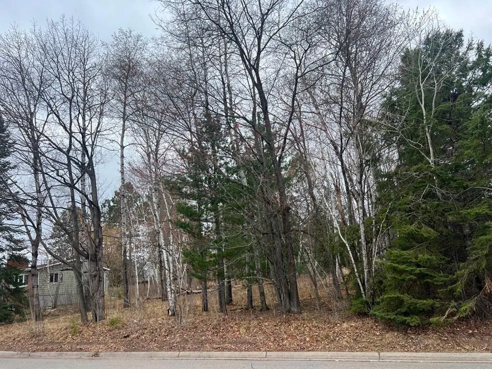 TBD 3rd Avenue SW Grand Rapids, MN 55744