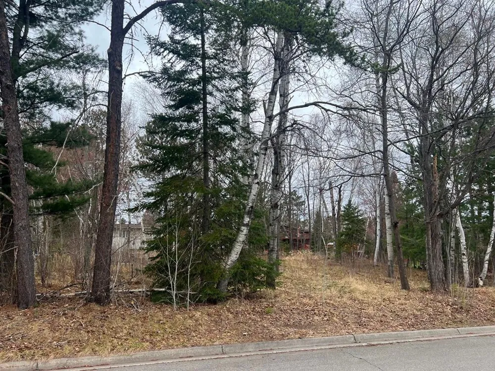 TBD 3rd Avenue SW Grand Rapids, MN 55744