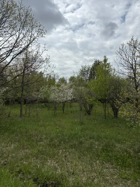 4680 Luce Street #Parcel C Jenison, MI 49428