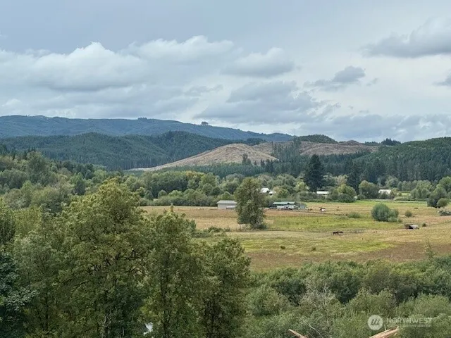 0 Garrard Creek Road Oakville, WA 98568
