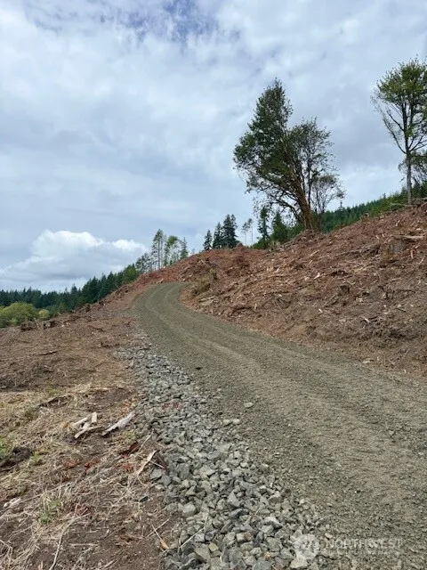 0 Garrard Creek Road Oakville, WA 98568