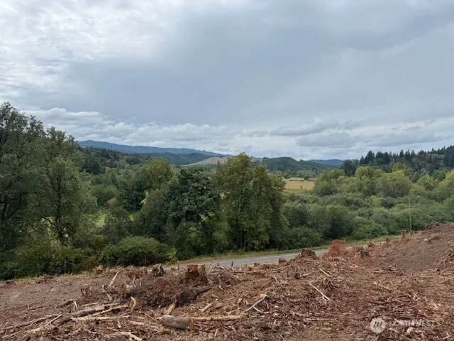 0 Garrard Creek Road Oakville, WA 98568