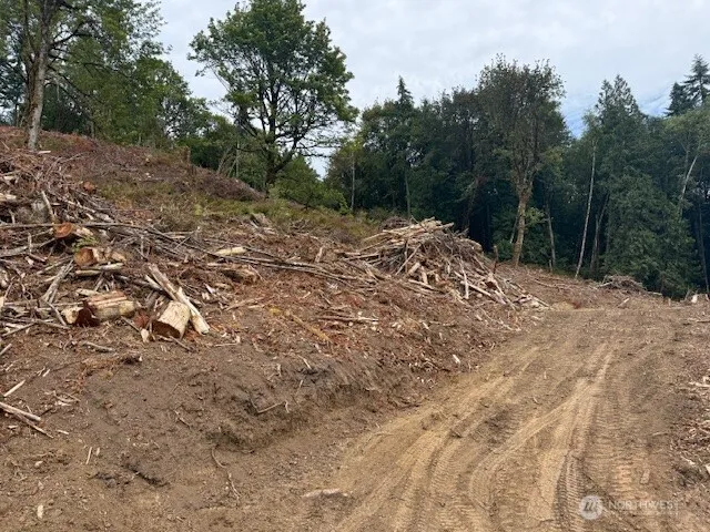 0 Garrard Creek Road Oakville, WA 98568
