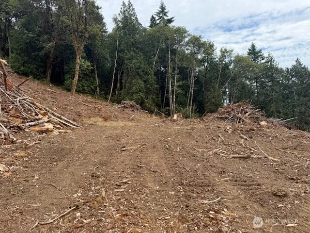 0 Garrard Creek Road Oakville, WA 98568