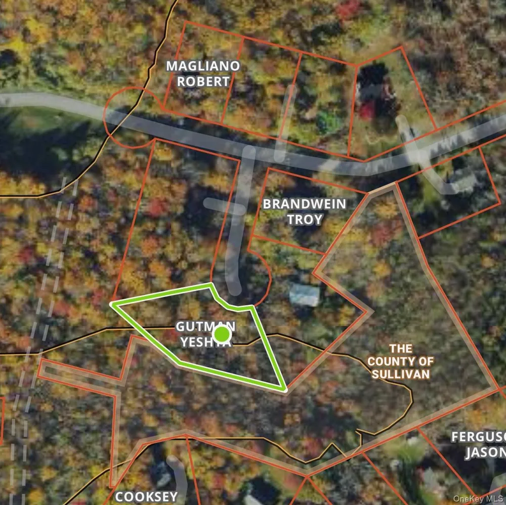 Cathalia Ct Tr 154e Fallsburg, NY 12733