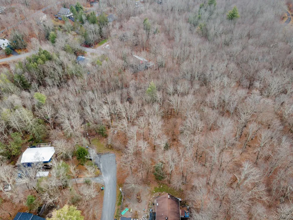 Cathalia Ct Tr 154e Fallsburg, NY 12733