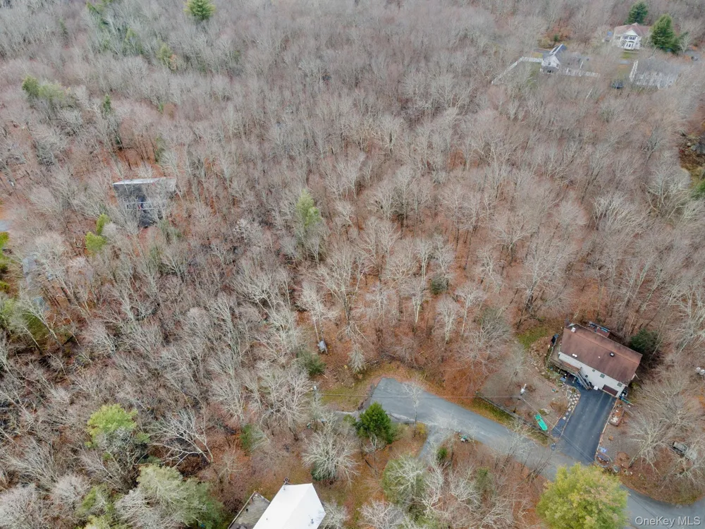 Cathalia Ct Tr 154e Fallsburg, NY 12733