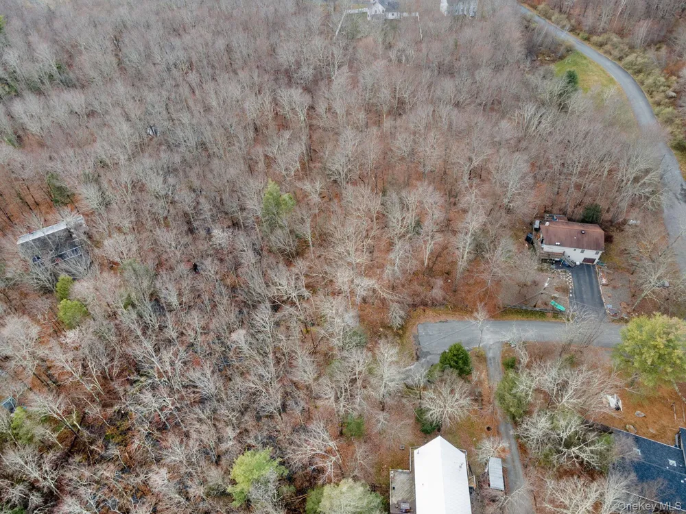 Cathalia Ct Tr 154e Fallsburg, NY 12733