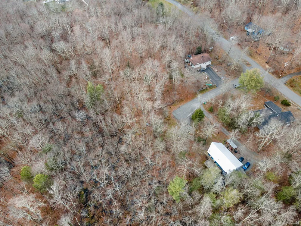 Cathalia Ct Tr 154e Fallsburg, NY 12733