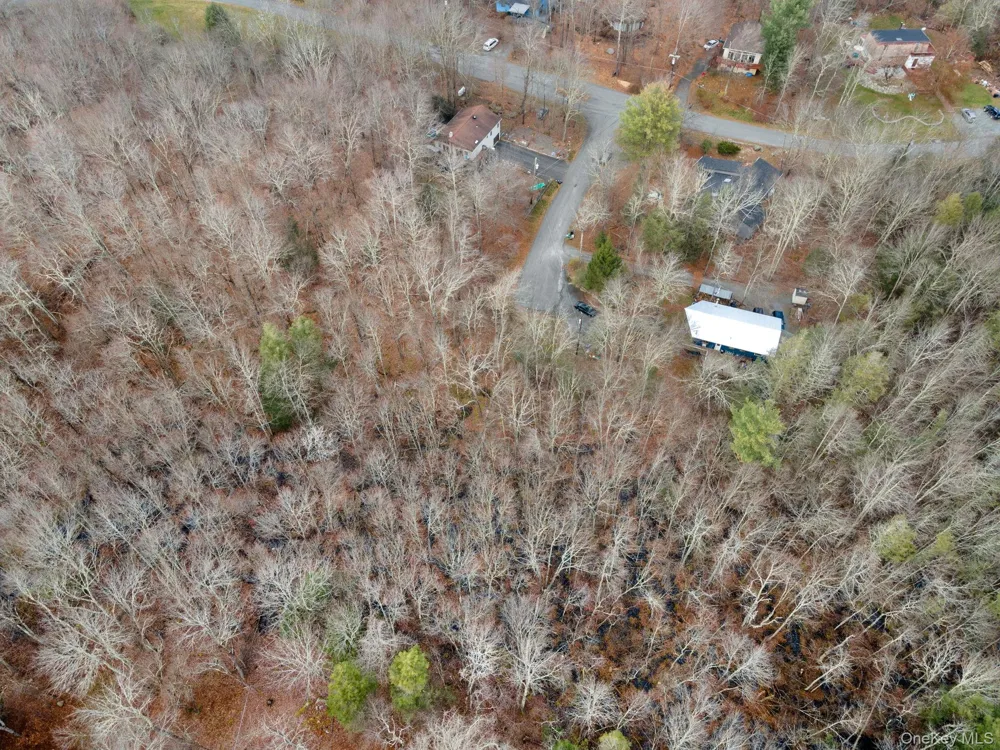 Cathalia Ct Tr 154e Fallsburg, NY 12733