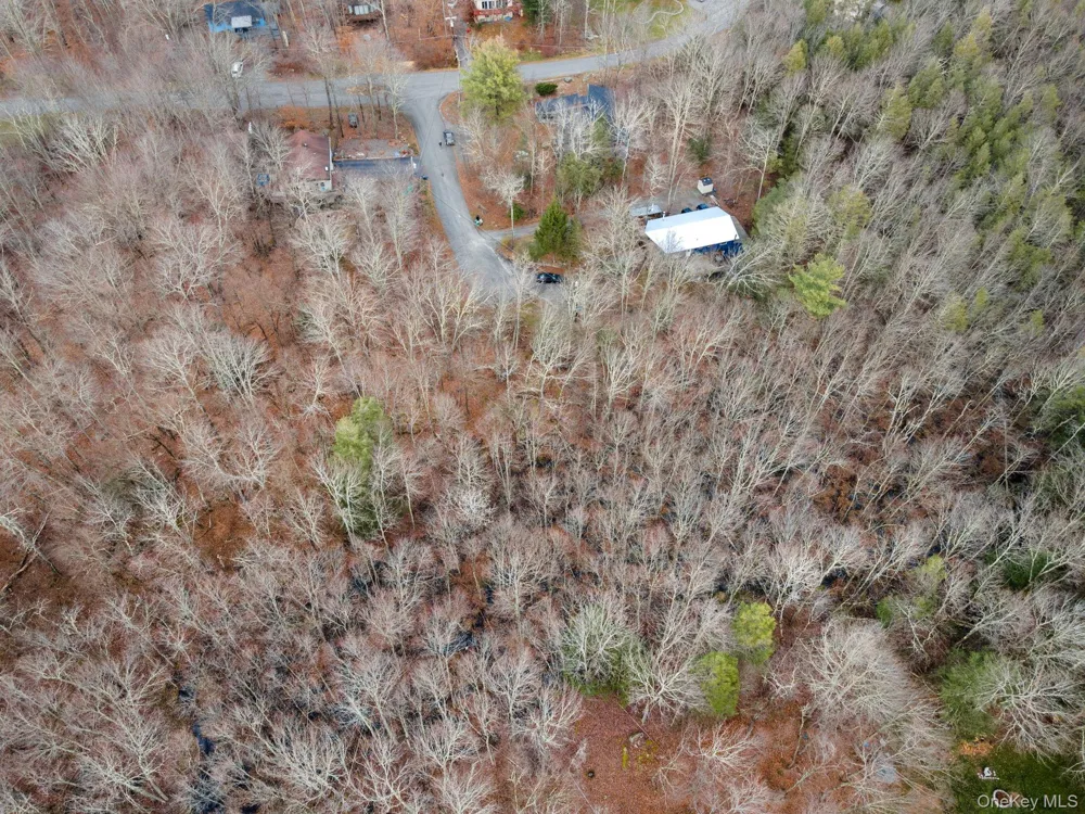 Cathalia Ct Tr 154e Fallsburg, NY 12733