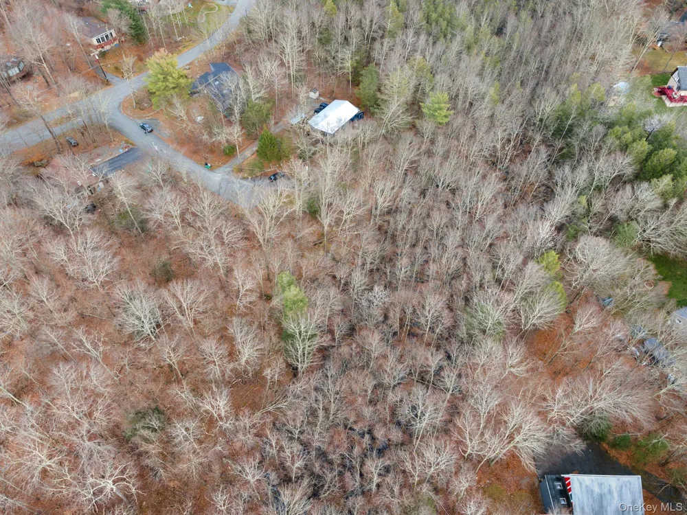 Cathalia Ct Tr 154e Fallsburg, NY 12733