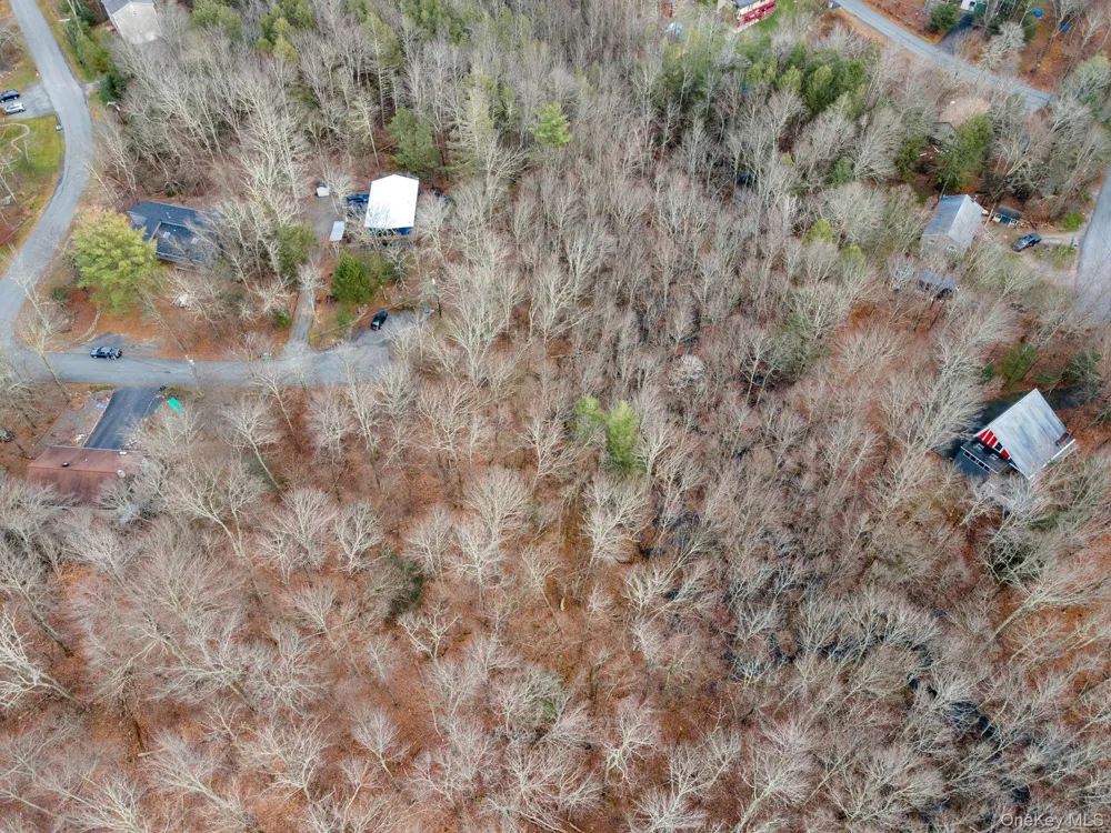 Cathalia Ct Tr 154e Fallsburg, NY 12733