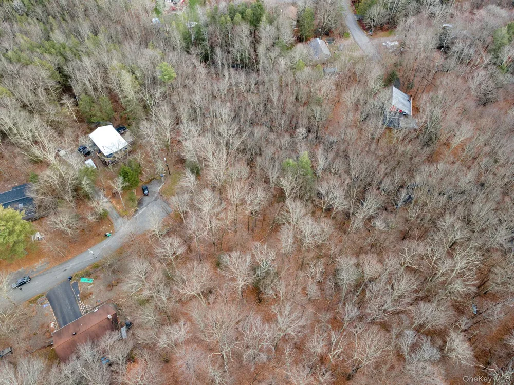 Cathalia Ct Tr 154e Fallsburg, NY 12733