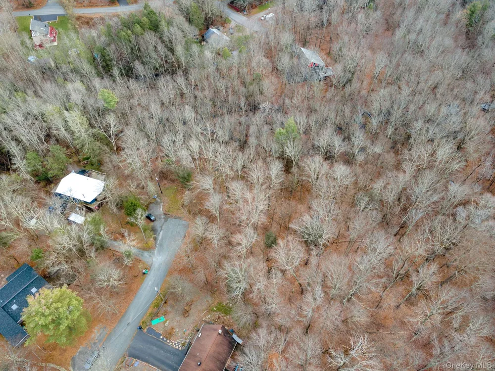 Cathalia Ct Tr 154e Fallsburg, NY 12733