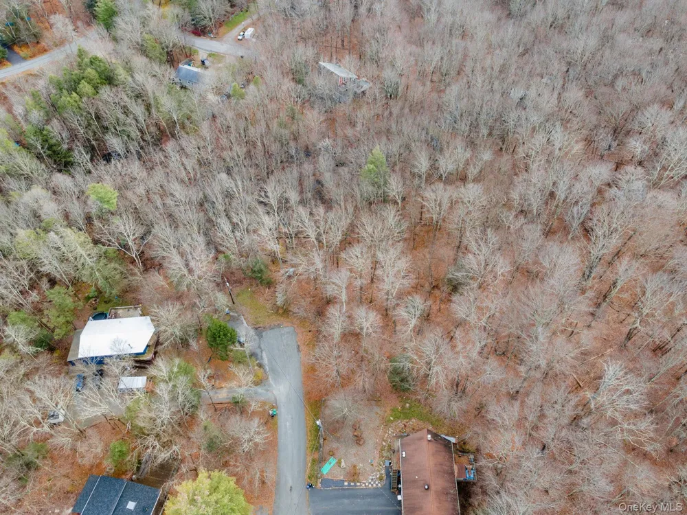 Cathalia Ct Tr 154e Fallsburg, NY 12733
