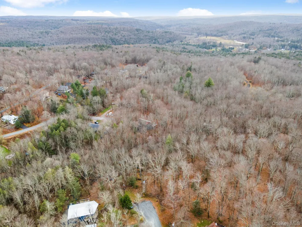 Cathalia Ct Tr 154e Fallsburg, NY 12733