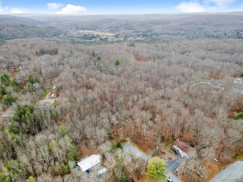 Cathalia Ct Tr 154e Fallsburg, NY 12733